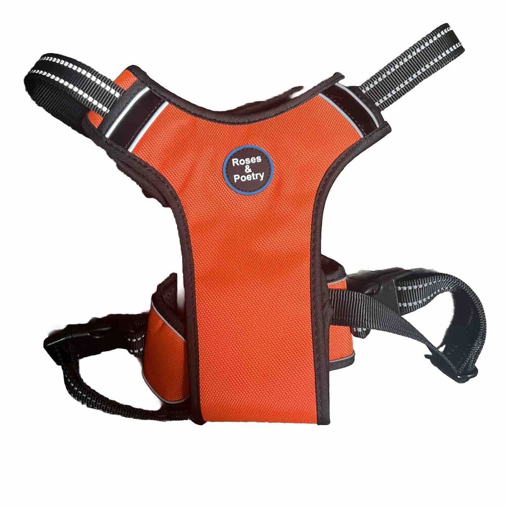 Roses And Poetry Dog Harness Outdoor Orange Size XL No Pull